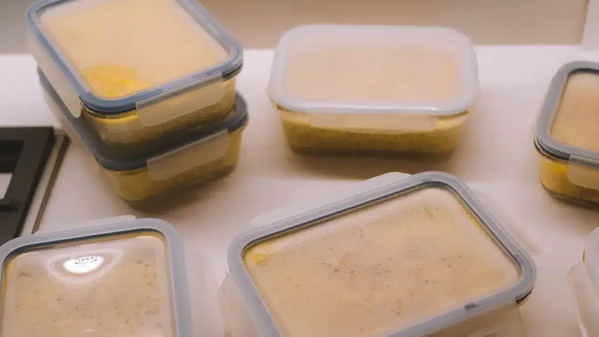 Choosing the Right Cooler Bag for Frozen Food