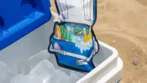 Finding the Perfect Large Capacity Cooler for Your Needs