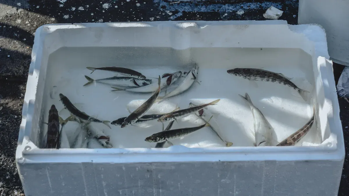 Fishing ice box review keeps your catch fresh