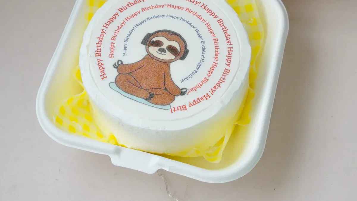 Hard plastic lunch cooler surprises and letdowns revealed