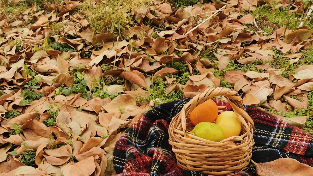 Ready to Upgrade Your Lunch Cooler Bags This Fall?